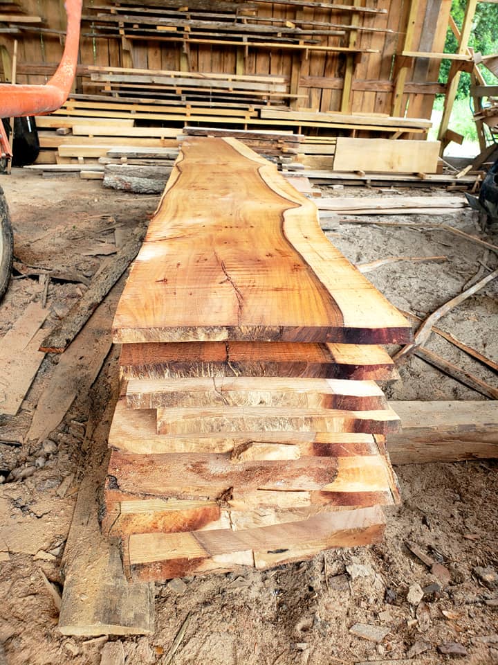 Long camphor slab in the barn ready to pick