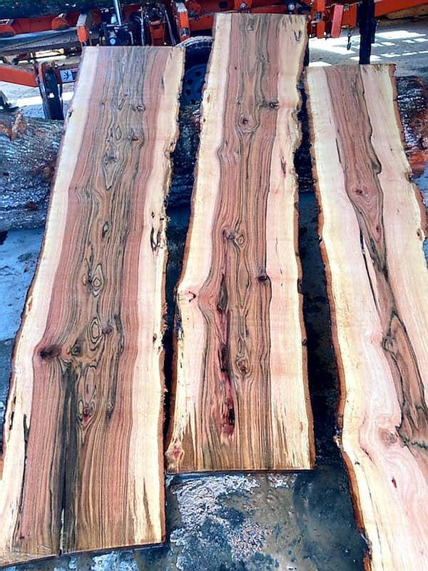 Three fresh-milled slabs on the sawmill