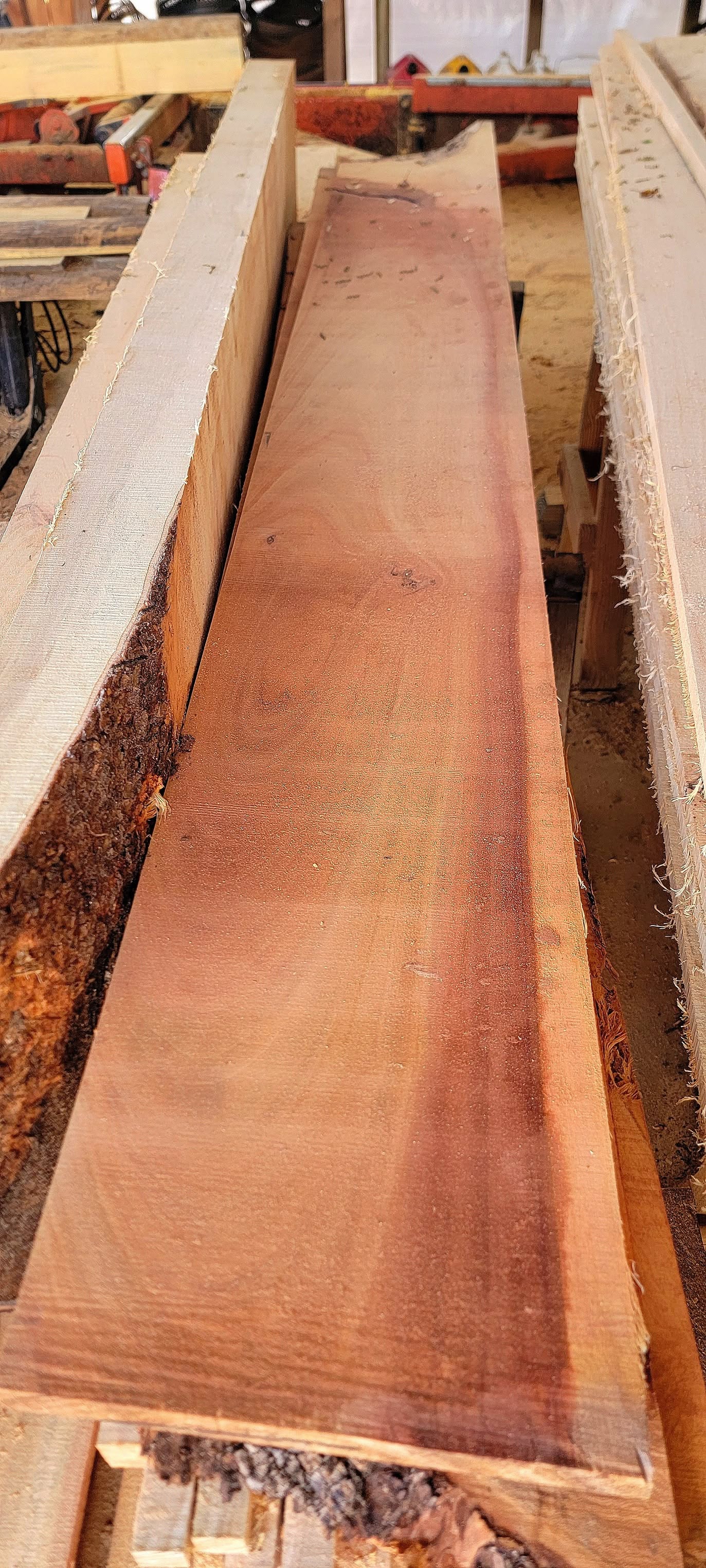 Long fresh-cut slab on the mill showing rich red heartwood